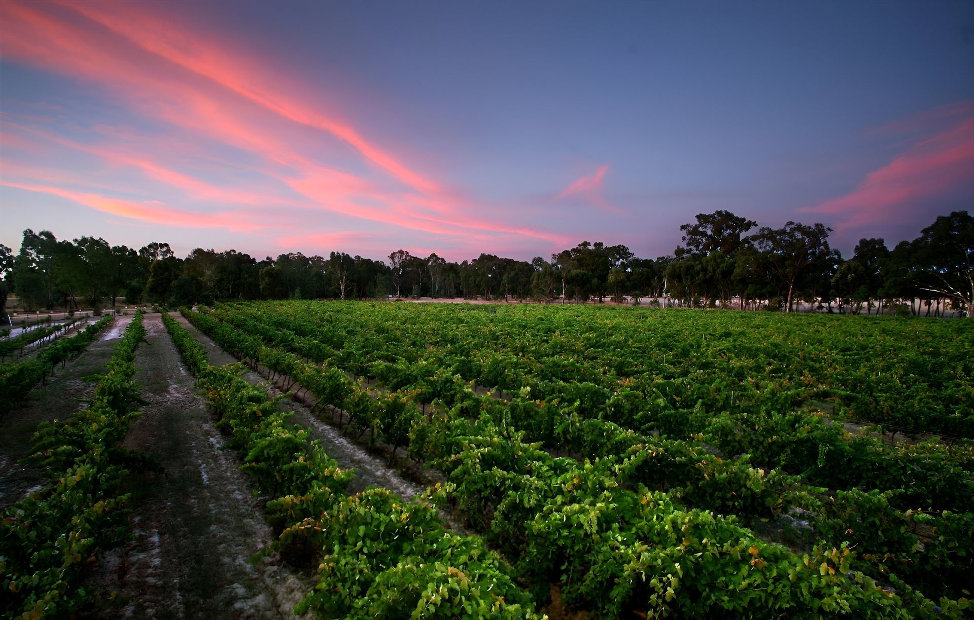 Local produce and wine near Maldon